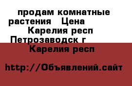 продам комнатные растения › Цена ­ 1 500 - Карелия респ., Петрозаводск г.  »    . Карелия респ.